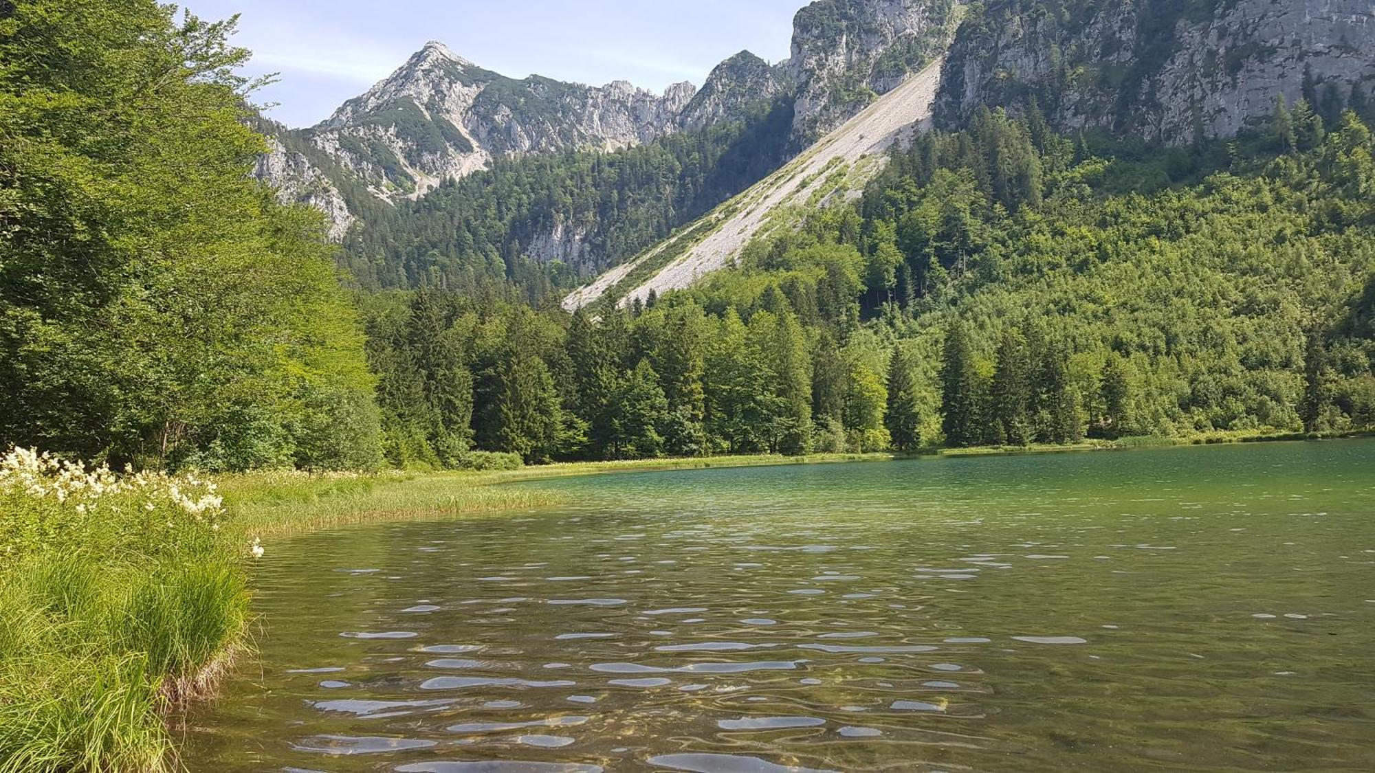 Ferienwohnung Hinterpommern - Chiemgaukarte Inzell Bagian luar foto